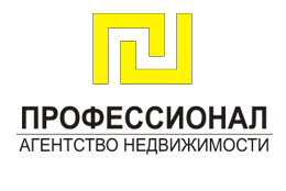 Профессионал Профессионал